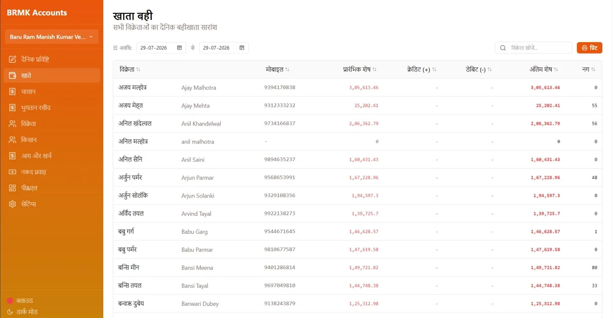 Daily accounts ledger showing the complete financial overview